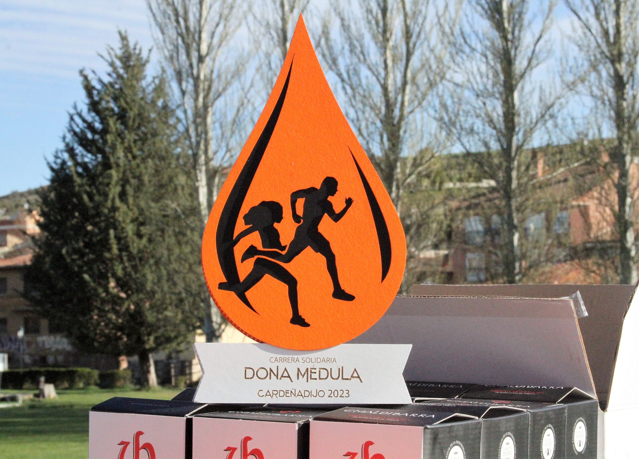 Carrera DONA MÉDULA